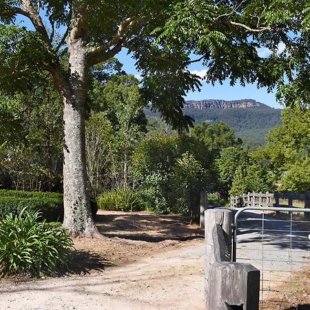 The Laurels B&B Kangaroo Valley Extérieur photo