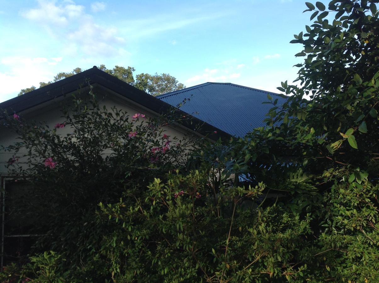 The Laurels B&B Kangaroo Valley Extérieur photo