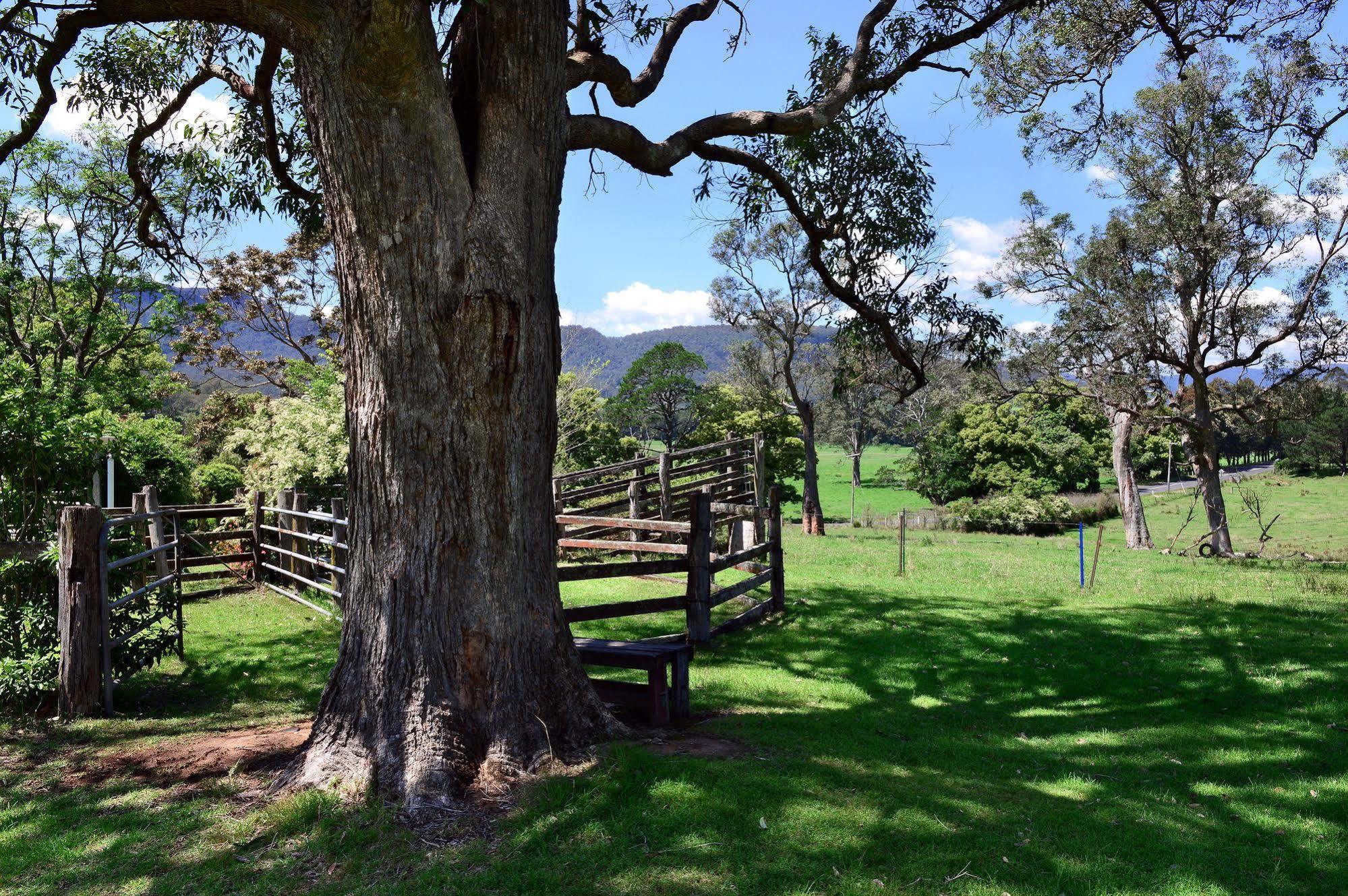 The Laurels B&B Kangaroo Valley Extérieur photo