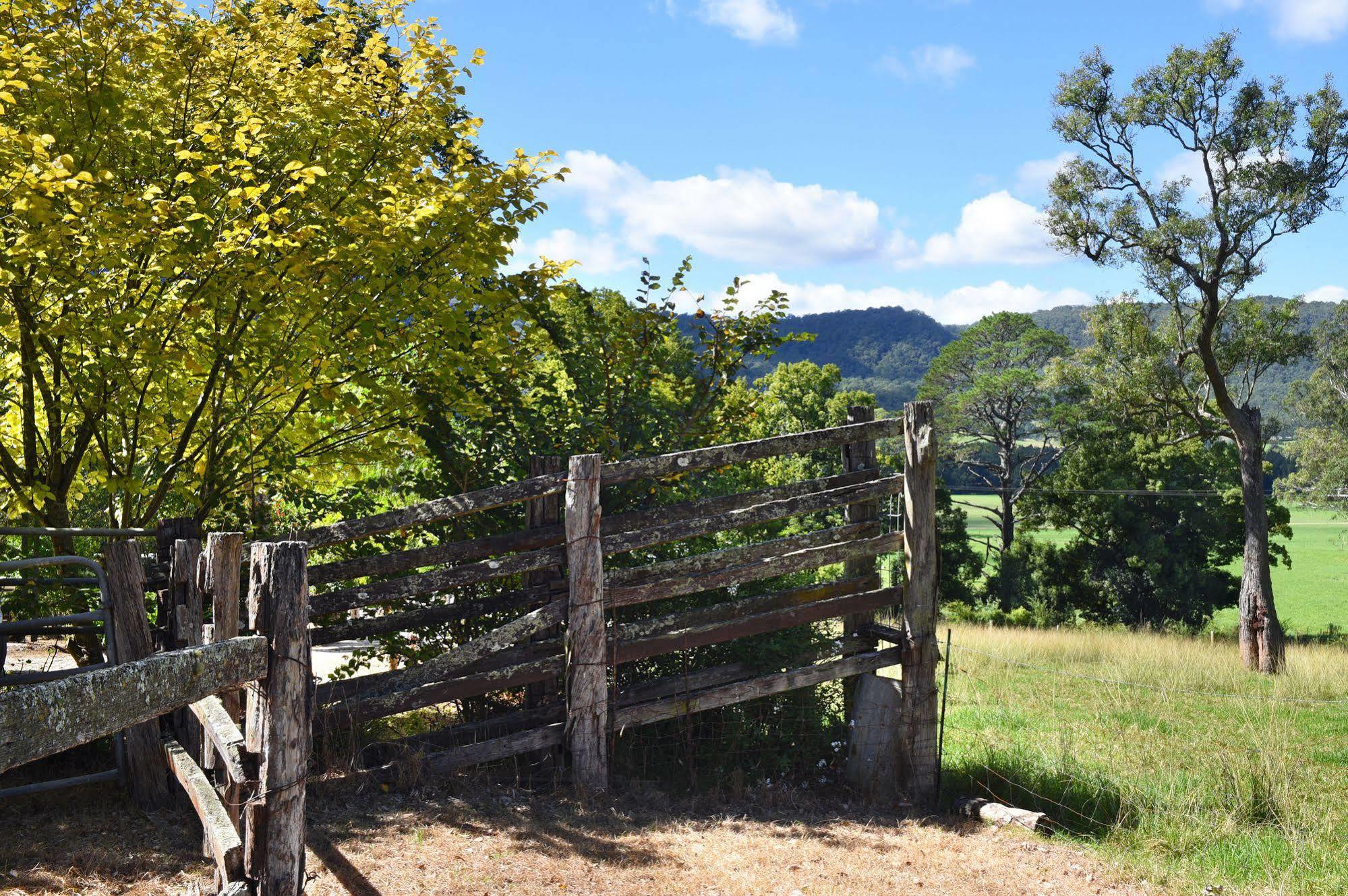 The Laurels B&B Kangaroo Valley Extérieur photo